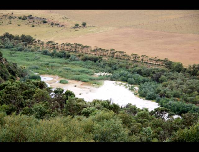 69HA FARM FOR SALE IN BOT RIVER